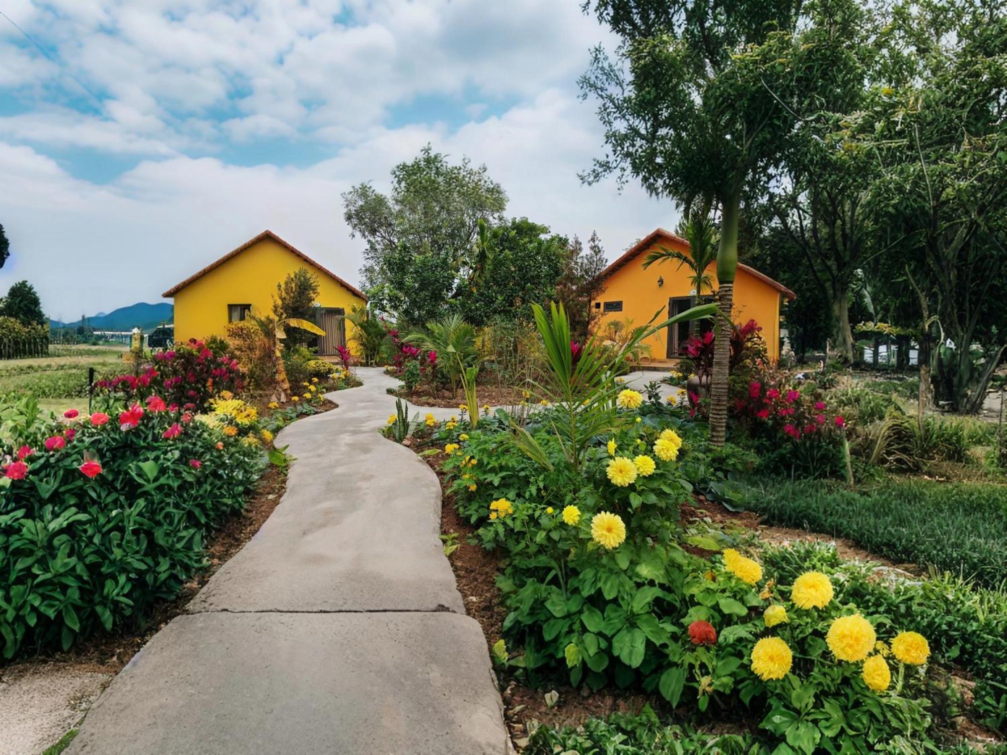Ninh Binh Peaceful Retreatヴィラ エクステリア 写真
