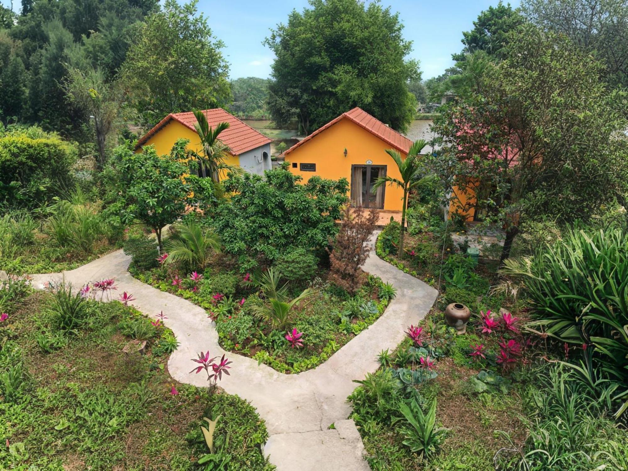 Ninh Binh Peaceful Retreatヴィラ エクステリア 写真